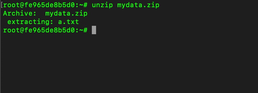unzip a zip file using terminal